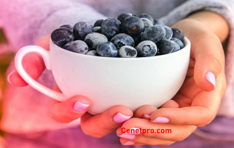 wellhealthorganic com blueberry brain-boosting benefits
